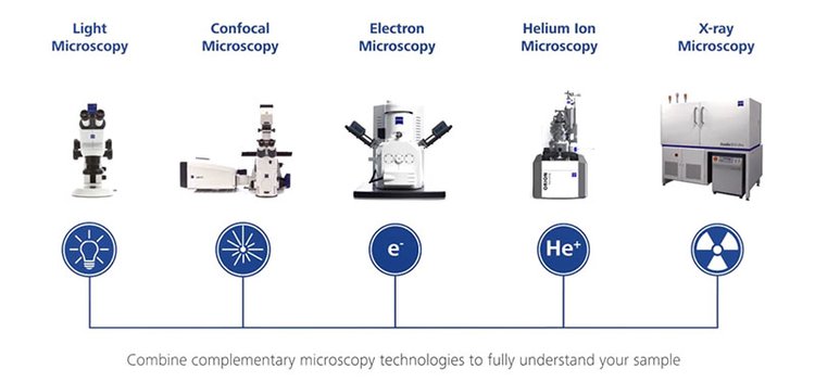 莱芜共聚焦显微镜
