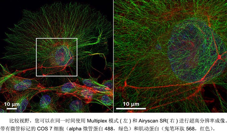 莱芜共聚焦显微镜