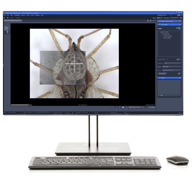 1680144728540961.jpg lse11.jpg