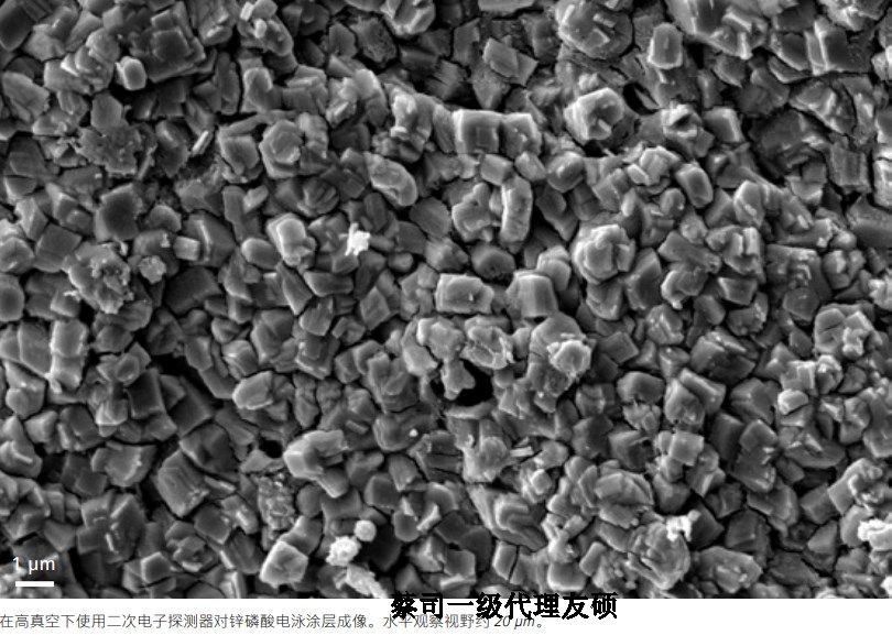 莱芜蔡司莱芜扫描电镜