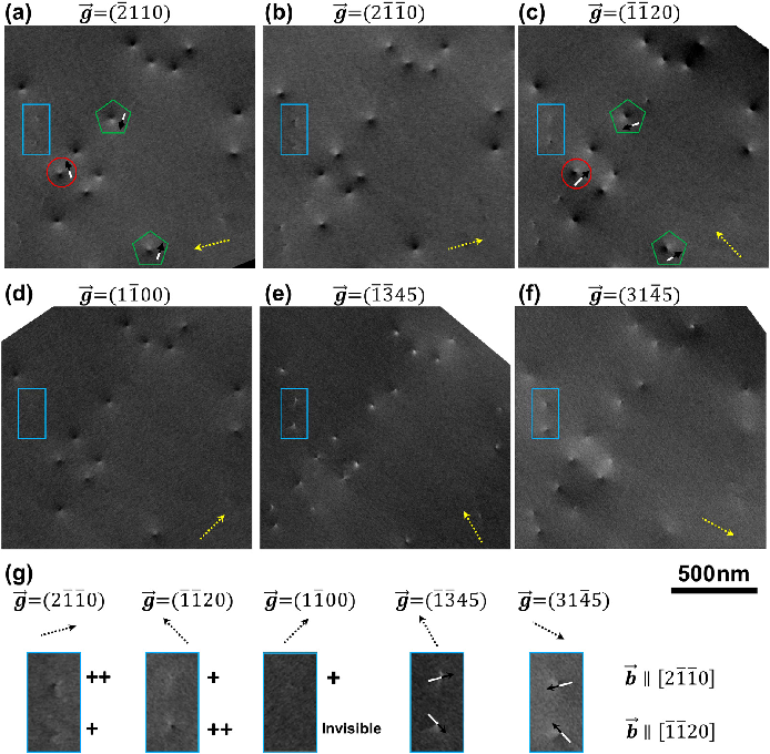 场发射莱芜扫描电镜