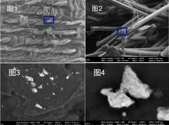 莱芜蔡司莱芜扫描电镜